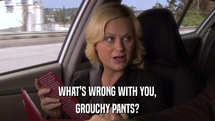 WHAT'S WRONG WITH YOU, GROUCHY PANTS? 