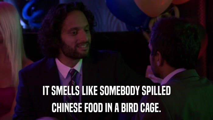 IT SMELLS LIKE SOMEBODY SPILLED CHINESE FOOD IN A BIRD CAGE. 