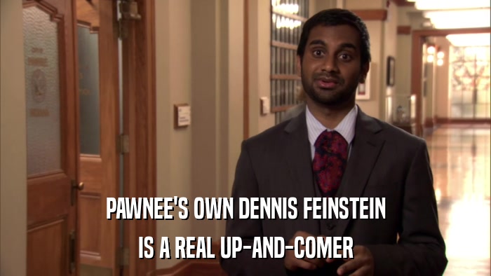 PAWNEE'S OWN DENNIS FEINSTEIN IS A REAL UP-AND-COMER 