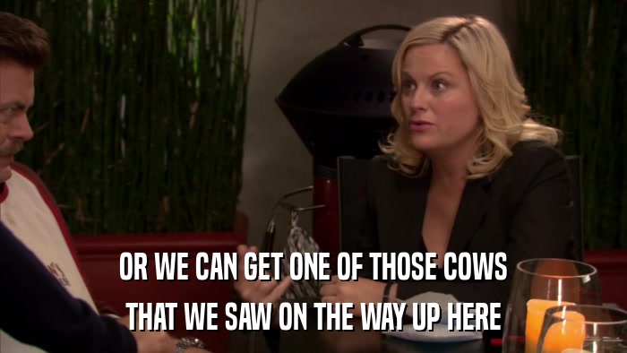 OR WE CAN GET ONE OF THOSE COWS THAT WE SAW ON THE WAY UP HERE 