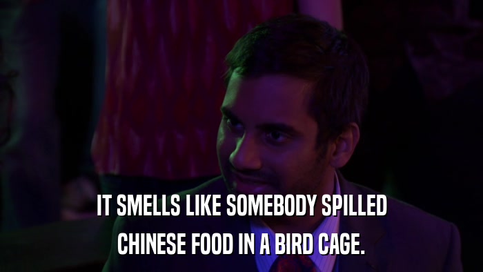IT SMELLS LIKE SOMEBODY SPILLED CHINESE FOOD IN A BIRD CAGE. 