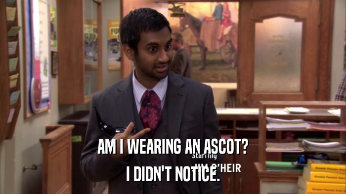 AM I WEARING AN ASCOT? I DIDN'T NOTICE. 