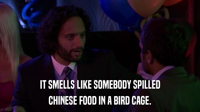 IT SMELLS LIKE SOMEBODY SPILLED CHINESE FOOD IN A BIRD CAGE. 