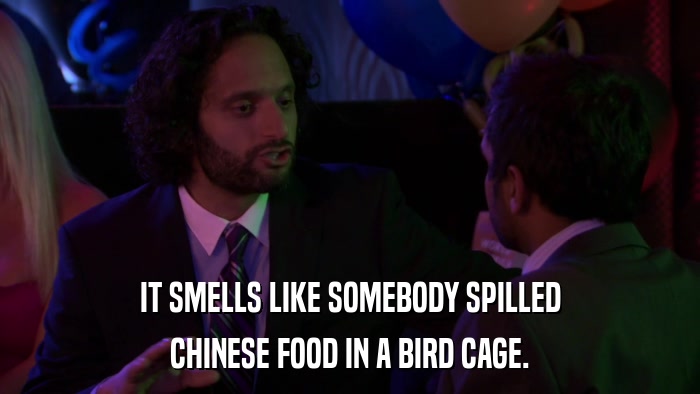 IT SMELLS LIKE SOMEBODY SPILLED CHINESE FOOD IN A BIRD CAGE. 