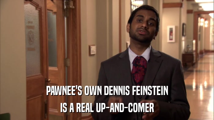 PAWNEE'S OWN DENNIS FEINSTEIN IS A REAL UP-AND-COMER 