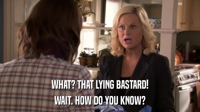 WHAT? THAT LYING BASTARD! WAIT. HOW DO YOU KNOW? 