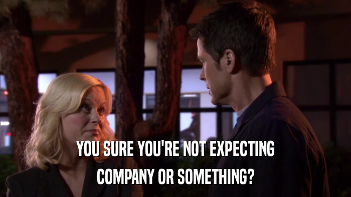 YOU SURE YOU'RE NOT EXPECTING COMPANY OR SOMETHING? 