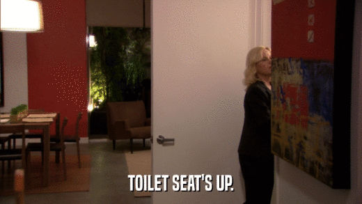 TOILET SEAT'S UP.  