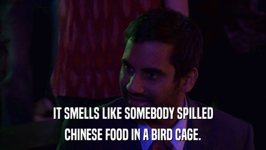 IT SMELLS LIKE SOMEBODY SPILLED CHINESE FOOD IN A BIRD CAGE. 
