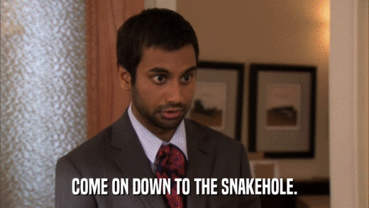 COME ON DOWN TO THE SNAKEHOLE.  