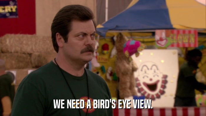 WE NEED A BIRD'S EYE VIEW.  