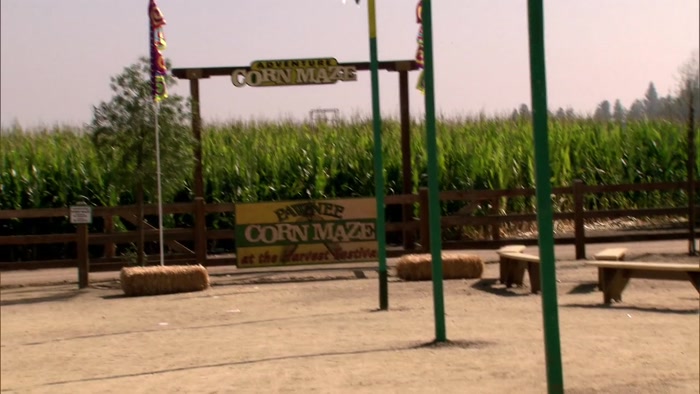 AND OVER HERE IS INDIANA'S LARGEST CORN MAZE. 
