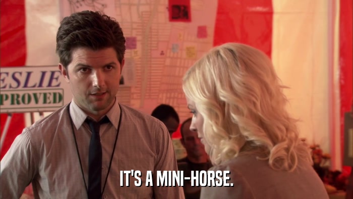 IT'S A MINI-HORSE.  