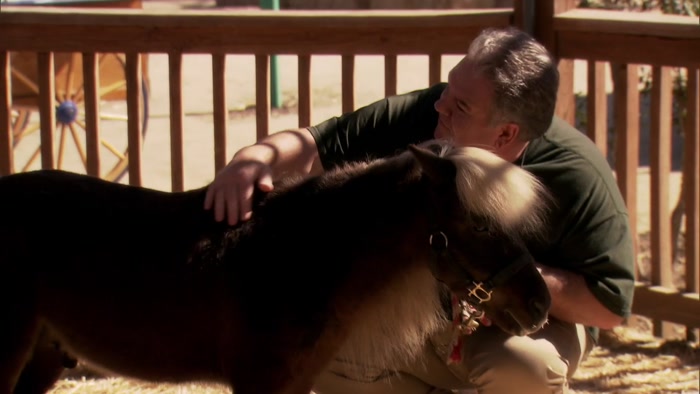 JERRY, STOP BOTHERING LITTLE SEBASTIAN. 