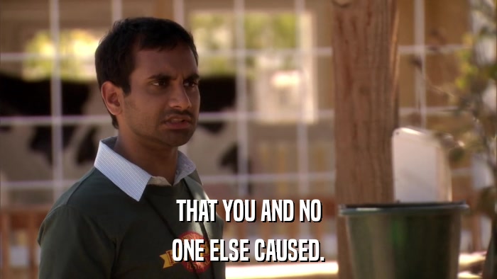 THAT YOU AND NO ONE ELSE CAUSED. 