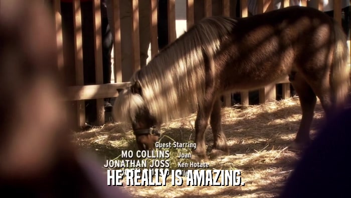 HE REALLY IS AMAZING.  