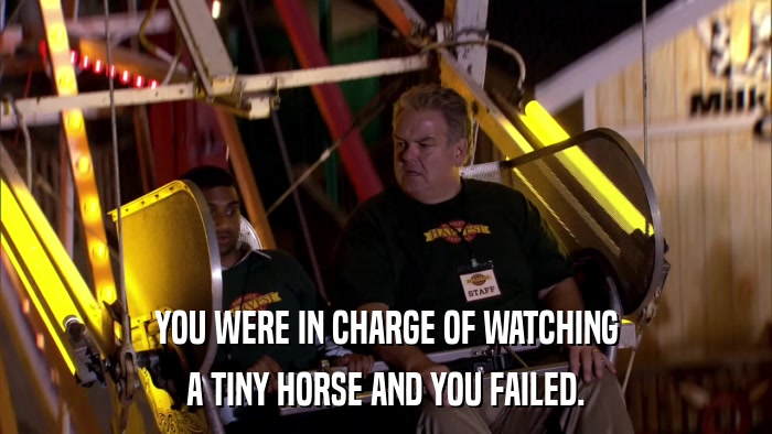 YOU WERE IN CHARGE OF WATCHING A TINY HORSE AND YOU FAILED. 