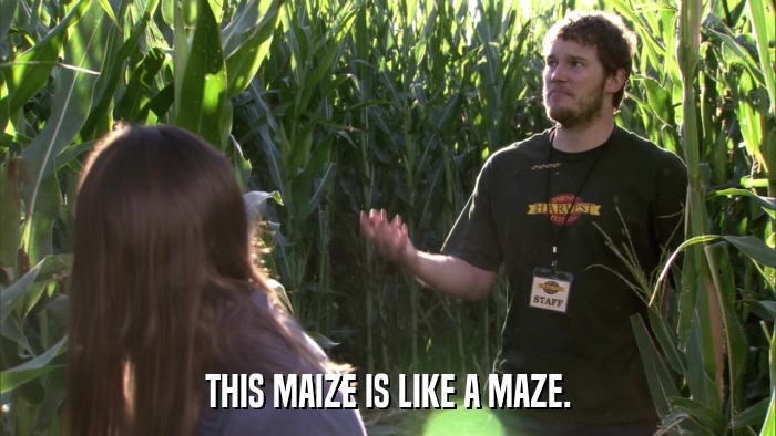 THIS MAIZE IS LIKE A MAZE.  