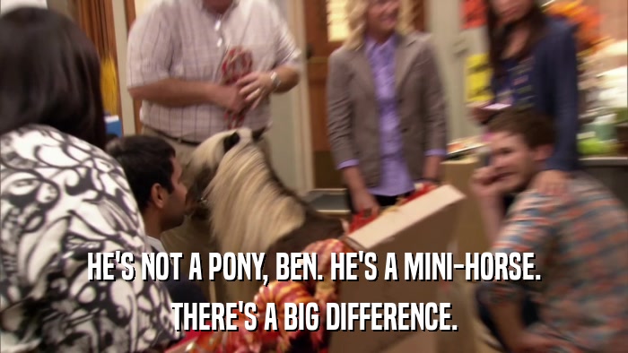 HE'S NOT A PONY, BEN. HE'S A MINI-HORSE. THERE'S A BIG DIFFERENCE. 