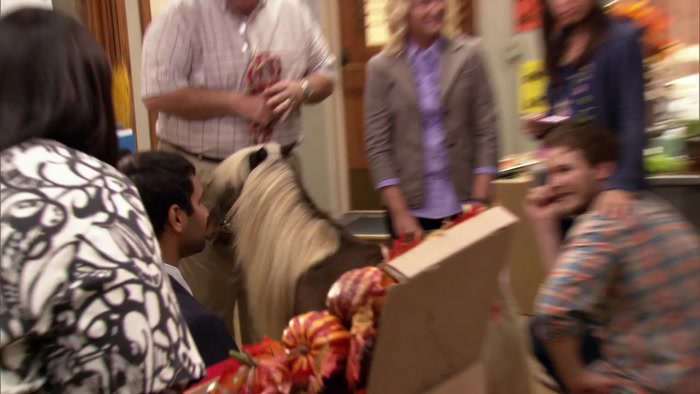 HE'S NOT A PONY, BEN. HE'S A MINI-HORSE. THERE'S A BIG DIFFERENCE. 