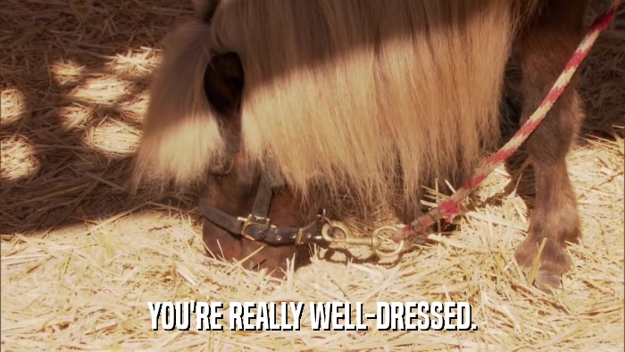 YOU'RE REALLY WELL-DRESSED.  