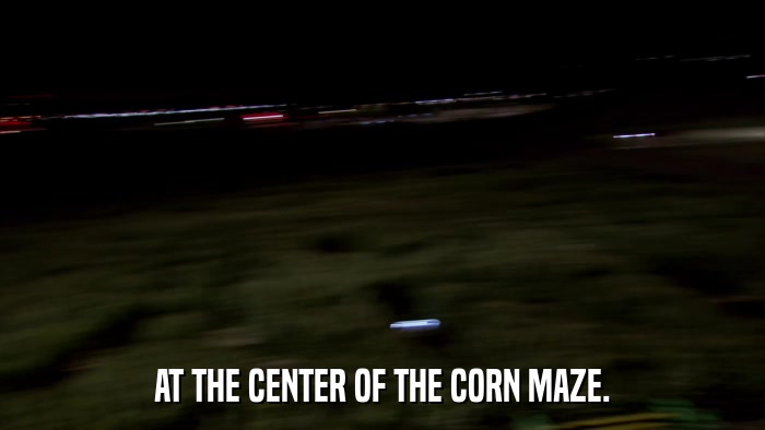 AT THE CENTER OF THE CORN MAZE.  