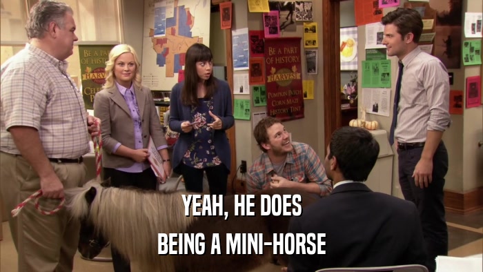 YEAH, HE DOES BEING A MINI-HORSE 