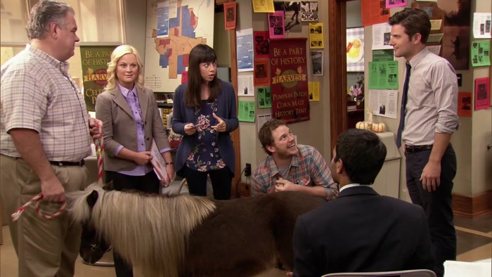 YEAH, HE DOES BEING A MINI-HORSE 