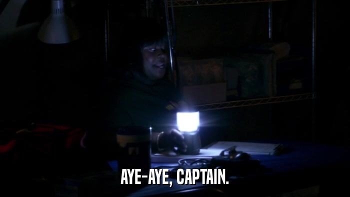 AYE-AYE, CAPTAIN.  