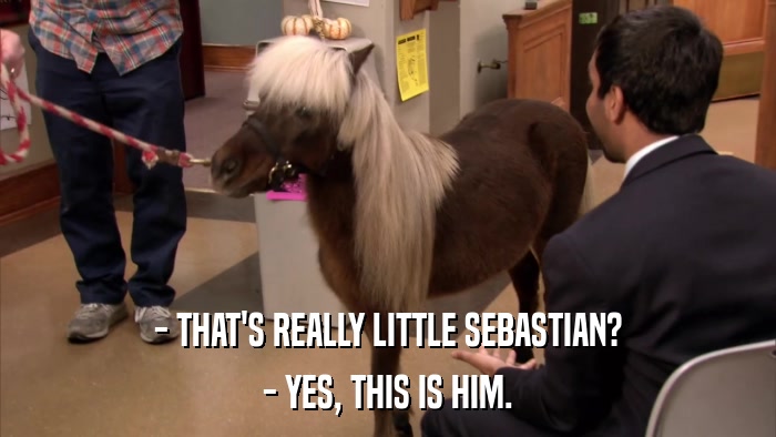 - THAT'S REALLY LITTLE SEBASTIAN? - YES, THIS IS HIM. 
