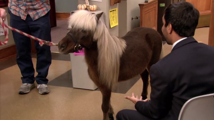 - THAT'S REALLY LITTLE SEBASTIAN? - YES, THIS IS HIM. 