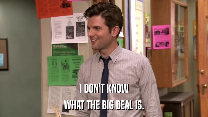 I DON'T KNOW WHAT THE BIG DEAL IS. 