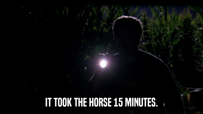 IT TOOK THE HORSE 15 MINUTES.  