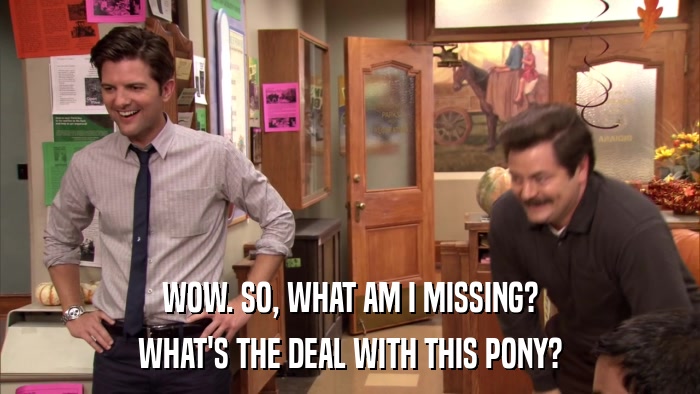 WOW. SO, WHAT AM I MISSING? WHAT'S THE DEAL WITH THIS PONY? 