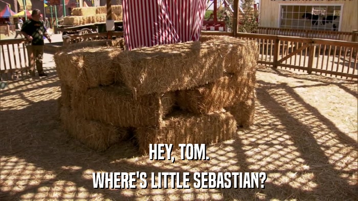 HEY, TOM. WHERE'S LITTLE SEBASTIAN? 