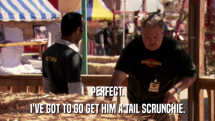 PERFECT. I'VE GOT TO GO GET HIM A TAIL SCRUNCHIE. 