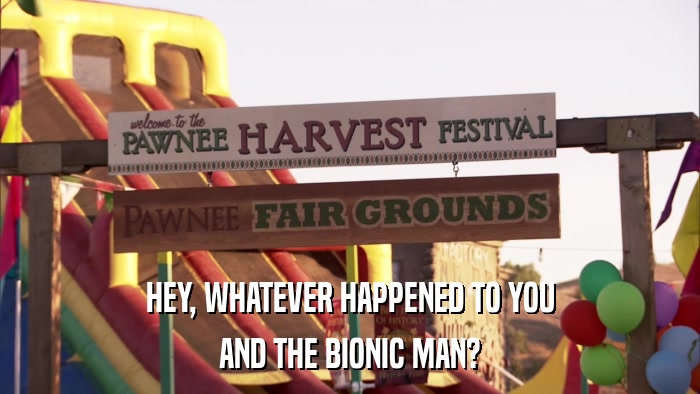 HEY, WHATEVER HAPPENED TO YOU AND THE BIONIC MAN? 