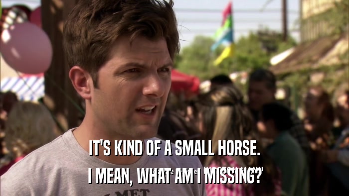IT'S KIND OF A SMALL HORSE. I MEAN, WHAT AM I MISSING? 