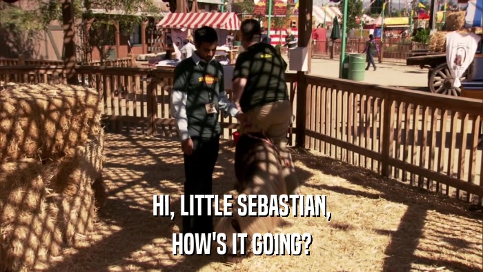 HI, LITTLE SEBASTIAN, HOW'S IT GOING? 