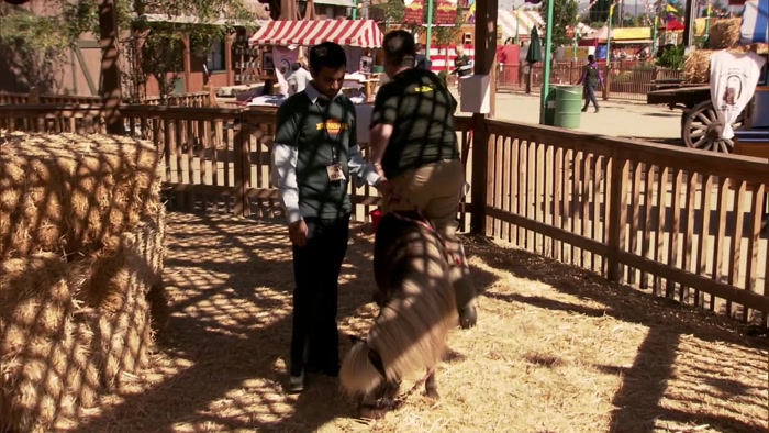 HI, LITTLE SEBASTIAN, HOW'S IT GOING? 