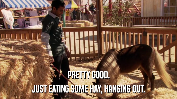 PRETTY GOOD. JUST EATING SOME HAY, HANGING OUT. 