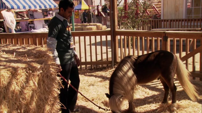 PRETTY GOOD. JUST EATING SOME HAY, HANGING OUT. 