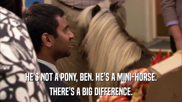 HE'S NOT A PONY, BEN. HE'S A MINI-HORSE. THERE'S A BIG DIFFERENCE. 