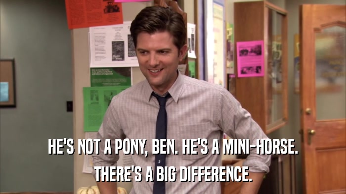 HE'S NOT A PONY, BEN. HE'S A MINI-HORSE. THERE'S A BIG DIFFERENCE. 