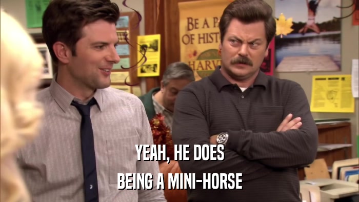 YEAH, HE DOES BEING A MINI-HORSE 