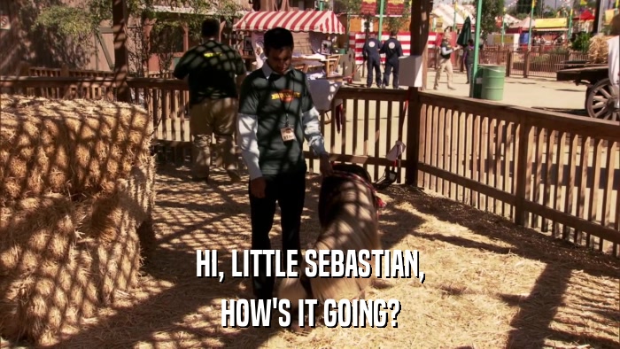 HI, LITTLE SEBASTIAN, HOW'S IT GOING? 