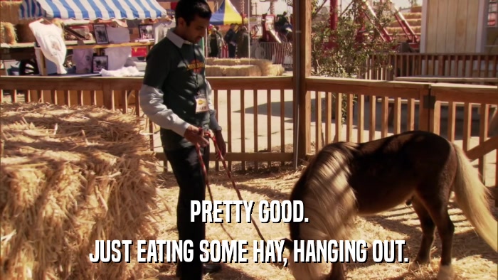 PRETTY GOOD. JUST EATING SOME HAY, HANGING OUT. 