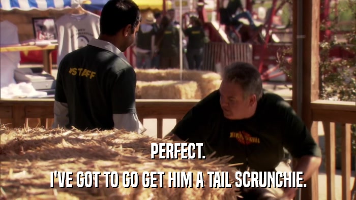 PERFECT. I'VE GOT TO GO GET HIM A TAIL SCRUNCHIE. 