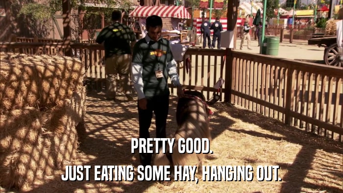 PRETTY GOOD. JUST EATING SOME HAY, HANGING OUT. 
