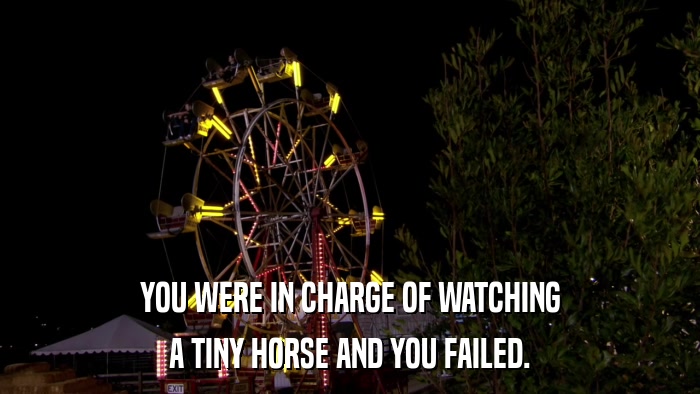 YOU WERE IN CHARGE OF WATCHING A TINY HORSE AND YOU FAILED. 